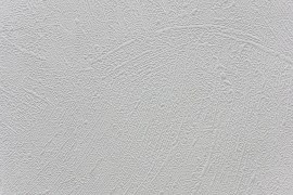 RF_231-1